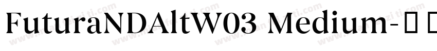 FuturaNDAltW03 Medium字体转换